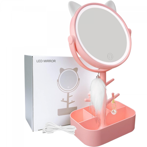 Rechargeable Small Illuminated Makeup Mirror with Storage Function 